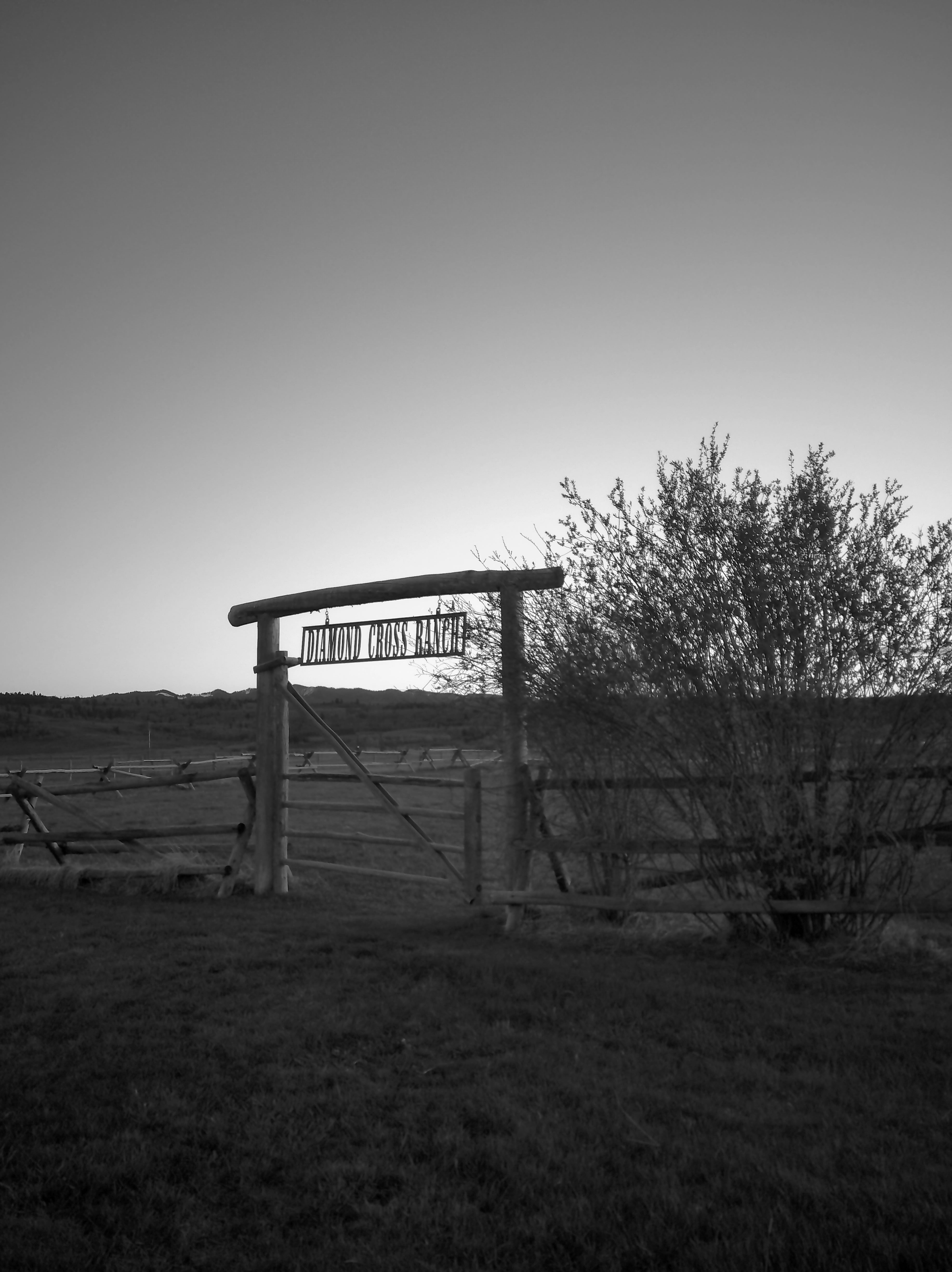 Kimberlymphoto4